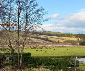 Photo 6- click for photo gallery